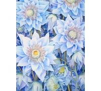 MIRONS Canevas Broderie Point de Croix Kit Complet, Fleurs 11CT Kit Broderie Point de Croix Compté Imprimé DéButant, Easy Set Loisirs CréAtifs Broderie 40x50cm