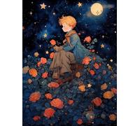 MIRONS Kit de Démarrage de Broderie, Le Petit Prince dans la roseraie,B DIY 11CT Point de Croix Broderie Starter kit,Embroidery Starter Kit pour Adultes Débutant