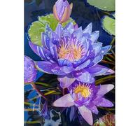 MIRONS Kits Broderie Point de Croix, Fleurs Point de Croix Kit de Broderie Imprimé 11CT DIY Kit de Démarrage de Broderie 40x50cm