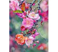 MIRONS Kits de Point de Croix Estampé Bricolage, Fleurs 11CT Couture Gamme Complète de Kits de Démarrage de Broderie pré-imprimés, DIY Kit Broderie Point De Croix 40x50cm