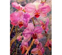 MIRONS Kits de Point de Croix, Fleurs Kits de Broderie au Point de Croix Imprimés 11CT, Kits de Broderie Estampillés, Décoration Murale 40x50cm