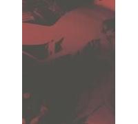 Mirror - Collaborative Pictures By Merrick D'arcy Irvine X Julia Bajanova