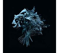 Mirror of Haze - End is The Beginning [Import]