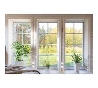 MIRRORANG 1,5x1m Intérieur Toile de Fond Le Salon Français La fenêtre Vue des Arbres Plante La Photographie Arrière-Plan Domicile et Loger Conception Affaires Vidéo Conférence Décoration, Vinyle