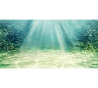 MIRRORANG 120x61cm Fond d'aquarium Plante Aquatique Bulle sous-Marine océan Plancher Aquarium Affiche Toile de Fond Vinyle Fond