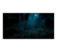 MIRRORANG 120x61cm Fond d'aquarium Sombre et Effrayant, Pleine Lune, forêt, Nuit, Halloween, Vinyle, pour Aquariums de 20 gallons