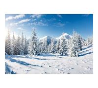 MIRRORANG 2,2x1,5m Art Hiver Forêt Paysage Toile de Fond en Plein Air Scène De Neige Pin Arbre Frozen Wall Decor Fond pour la Photographie Noël Photo Toile de Fond, Vinyle