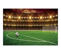 MIRRORANG 2,2x1,5m Football Fond Terrain de football But But Des sports Thème Stade Projecteur La photographie Toile de fond Des sports Club Garçons Hommes Anniversaire Photo Studio Accessoires Vinyle