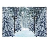 MIRRORANG 2,2x1,5m Paysage d'hiver décors Chemin de forêt de noël lampadaire Pays des Merveilles Chute Flocon de Neige Arbre Couvert de Neige fête Photographie arrière-Plans bannière, Vinyle