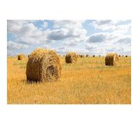 MIRRORANG 2,5x1,8m Automne Toile de Fond Automne Champ Agriculture Paille meule de Foin Terres agricoles Photographie Fond Automne récolte Thanksgiving fête décor Mariage bannière, Vinyle