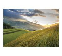 MIRRORANG 2,5x1,8m Paysage Naturel Toile de Fond Forêt Vue sur la Montagne Prairie La Campagne La Photographie Contexte La Vie Rurale Vacances Tourisme Photo Studio Accessoires Fond d'écran, Vinyle