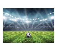 MIRRORANG 3x2,5m Football Stade Toile de Fond des Sports Jeu Fête Projecteur La Photographie Contexte pour Hommes Garçons Le Football Fête d'anniversaire Décoration Bannière, Vinyle