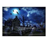 MIRRORANG 3x2,5m Halloween Toile de Fond mystère cimetière obscurité fantôme Pierre tombale Corbeau Clair de Lune Halloween thème fête Fond pour la Photographie Halloween Photo Toile de Fond, Vinyle