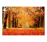 MIRRORANG 3x2m Automne Toile de Fond d'or Automne Érable des Arbres Forêt Paysage La Photographie Contexte Automne Récolter Action de grâces Fête Décor Douche de bébé Bannière Photo Studio, Vinyle