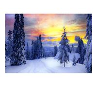 MIRRORANG 3x2m Décor Hivernal enneigé, Paysage de forêt gelée et enneigée, pin au Lever du Soleil, arrière Plan Photographique pour la Veille de Noël et Le Nouvel an, Accessoires de fête