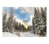 MIRRORANG 3x2m Neiger l'hiver La Photographie Toile de Fond Pins Forêt Pays des Merveilles Fond pour Nouveau née Douche de bébé Noël Nouvelle année Fête Décor Bannière Portrait Photo, Vinyle