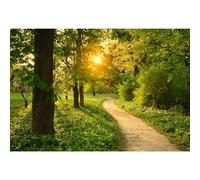MIRRORANG 4,5x3m Forêt Coucher de Soleil Paysage Toile de Fond Printemps forêt Rurale Arbres Fond pour la Photographie Prairie Verte Nature Fond Portraits Studio Accessoires, Vinyle