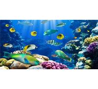 MIRRORANG 61x30cm Fond d'aquarium à thème sous-Marin Corail coloré Poisson Tropical Monde sous-Marin Fond de réservoir de Poissons Fond de Vinyle Durable