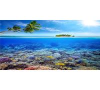 MIRRORANG 61x41cm Fond d'aquarium à thème sous-Marin Corail coloré Poisson Tropical cocotier Monde sous-Marin Fond de réservoir de Poissons Fond de Vinyle Durable