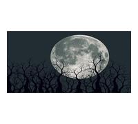 MIRRORANG 61x41cm Fond d'aquarium Effrayant Noir, Pleine Lune, Arbres, Branches, Nuit d'horreur, Vinyle Durable pour Halloween