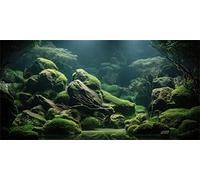 MIRRORANG 76x46cm Affiche de réservoir de Poissons tropicaux Toile de Fond lit de rivière et lac Plante Aquatique Fond d'aquarium sous-Marin Vinyle