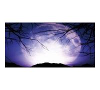 MIRRORANG 76x46cm Fond d'aquarium Gothique, Vinyle résistant, Pleine Lune, Branches, Arbres, Nuit d'horreur, Halloween