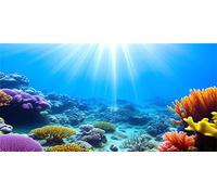 MIRRORANG 91x50cm Fond d'aquarium sous-Marin lumière du Soleil Bleu mer coloré récif de Corail Monde sous-Marin Affiche de réservoir de Poissons Toile de Fond