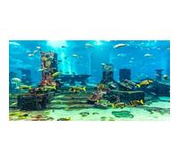 MIRRORANG 91x50cm Thème sous-Marin Fond d'aquarium coloré Corail Poisson Tropical ruines Monde sous-Marin Fish Tank Affiche Toile de Fond Vinyle