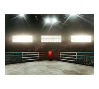 MIRRORANG Toile de Fond de Boxe 2,2 x 1,5 m pour potographie Boxe, Match de Boxe, sadium, Bague de Lutte Adudienc décorations de fête d'anniversaire, fête prénatale, garçon, Homme, Sportif,