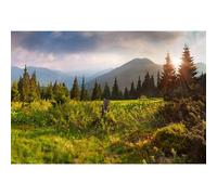 MIRRORANG Toile de fond pour studio de photographie de 4,2 x 3 m, vallée du lever du soleil, montagne, nature, paysage, forêt, parc, paysage, homme, garçon, fille, adulte, portrait, accessoires photo,