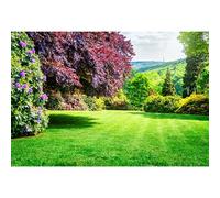 MIRRORANG Toile de fond printanière 2,5 x 1,8 m pour photographie, jardin, fleur de sang, pelouse, parc, montagne verte, paysage naturel, extérieur, randonnée, mariage, adlut pour enfants, accessoire