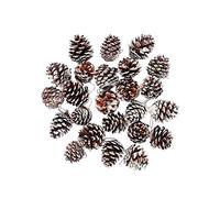 Mirrwin Lot de 30 pommes de pin naturelles - Décoration de Noël - Grande couronne décorative - Pommes de pin pour étiquettes cadeaux - Sapin de Noël - Décoration à suspendre (blanc)