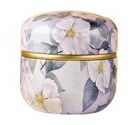 Mirweon Boîte de rangement portable en fer blanc résistant à la rouille pour bonbons, collations, café, petit bocal en fer blanc avec couvercle scellé