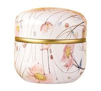 Mirweon Boîte de rangement portable en fer blanc résistant à la rouille pour bonbons, collations, café, petit bocal en fer blanc avec couvercle scellé