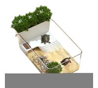 Misaakoeq Terrapin Aquarium pour tortues, boîte d'alimentation | Petit terrarium transparent pour reptiles pour terrarium Terrapin pour crabe à la maison, l'école, les sciences, les enseignants de la