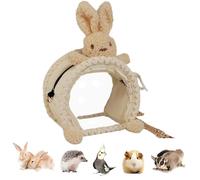 Misaakoeq Transporteur Furets - Transporteur avec Fenêtre Transparente - Sac de Transport pour Perroquet | pour Voyage Petits Animaux Lapin Dragon Barbu Phalanger Volant Oiseau Hérisson Furet Hamster
