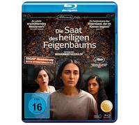 Die Saat des heiligen Feigenbaums – Mohammad Rasoulof – Blu-ray