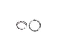 Miscellanea Lock Ring per Fazua Silver Ml097