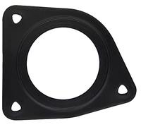 Miscellaneous gasket