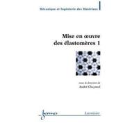 Mise En Oeuvre Des Élastomères 1 (Traité Mim, Série Polymères)