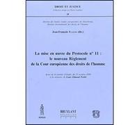 Mise en oeuvre du protocole 11 Jean-François Flauss (Auteur)