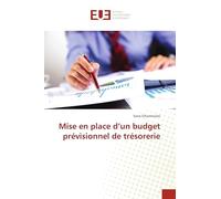 Mise en place d’un budget prévisionnel de trésorerie