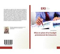 Mise en place d'un budget prévisionnel de trésorerie