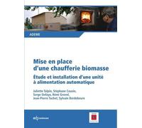 Mise En Place D'une Chaufferie Biomasse - Etude Et Installation D'une Unité À Alimentation Automatique