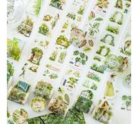 MisKepaa Journaling Kit for Fiori, 6 Rolls PET Washi Tape Set, Transparent Tapes Sticker Erwachsene for Scrapbooking, Junk Journaling, Bullet Journal, Travel Journal (Green Oxygen Plan Series)
