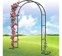 MISKYN Arche de jardin en métal avec revêtement en zinc pour plantes grimpantes, décorations de terrasse et d'extérieur Vert 2,4 x 2,2 m (l x H)