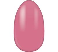 Miss-Sophie Ongles Feuilles-pour-onglesFirst KissNail Wraps 24 Stk.