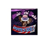 Miss Teri Tale 2 : vote 4 me