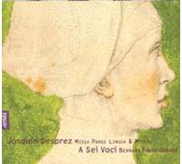 Missa Pange Lingua, Motets Ens. A Sei Voci