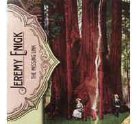 Jeremy Enigk - The Missing Link [Import]